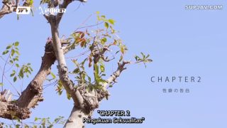 STARS-854 – Fetish kok Pentil – Hikari Aozora